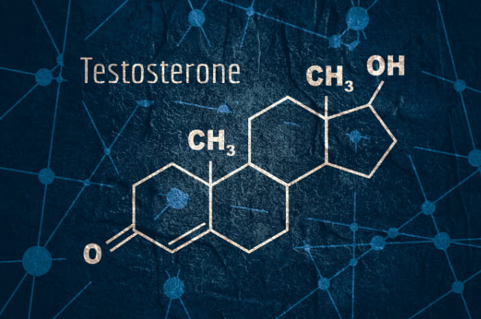 molecola testosterone