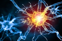 Neuroblastoma: confermata sicurezza ed efficacia delle CAR-T GD2