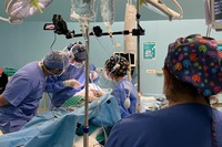 Come funziona il sistema dei trapianti in Italia