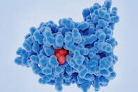 Tumori eredofamiliari: dalle Linee guida AIOM 2025 alla pratica clinica