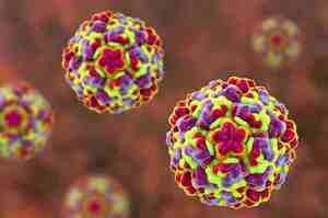 Rhinovirus e possibili coinfezioni con Sars-CoV-2